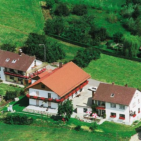 Gasthaus-Pension Hilmer Falkenfels Exterior foto